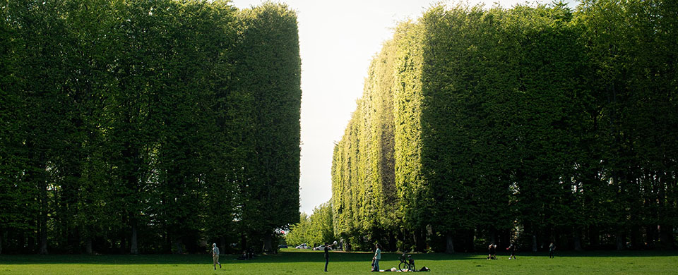 Hedges - What is a hedge fund?